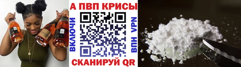 гидра как войти  Гвардейск  A PVP СК 