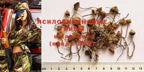 тгк Алексин