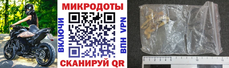 блэк спрут вход  Гвардейск  Псилоцибиновые грибы Magic Shrooms 