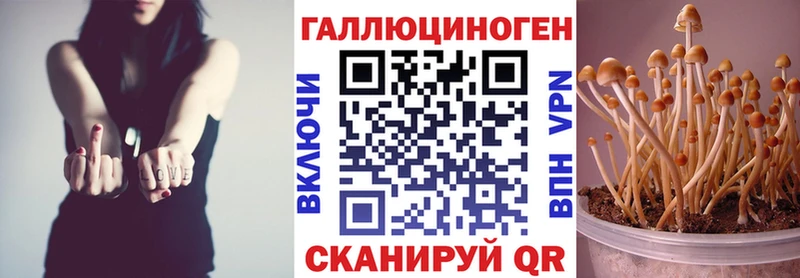 Псилоцибиновые грибы мицелий Гвардейск